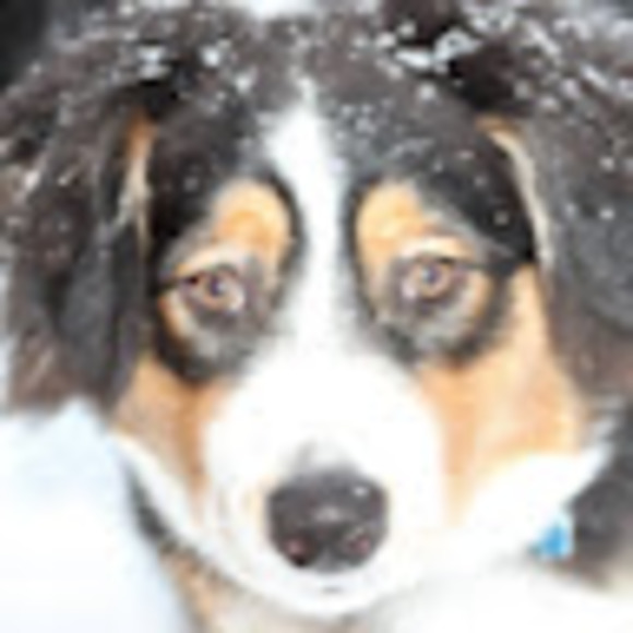 Meet your Posher, Jean - Picture 1 of 1